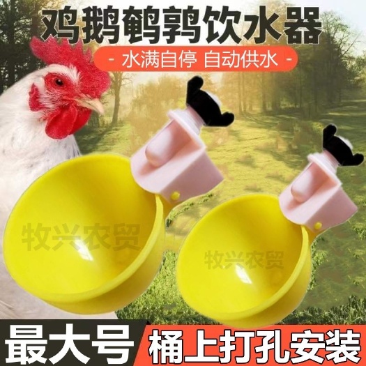 南京大号【亏本冲量】鸡鸭自动饮水碗