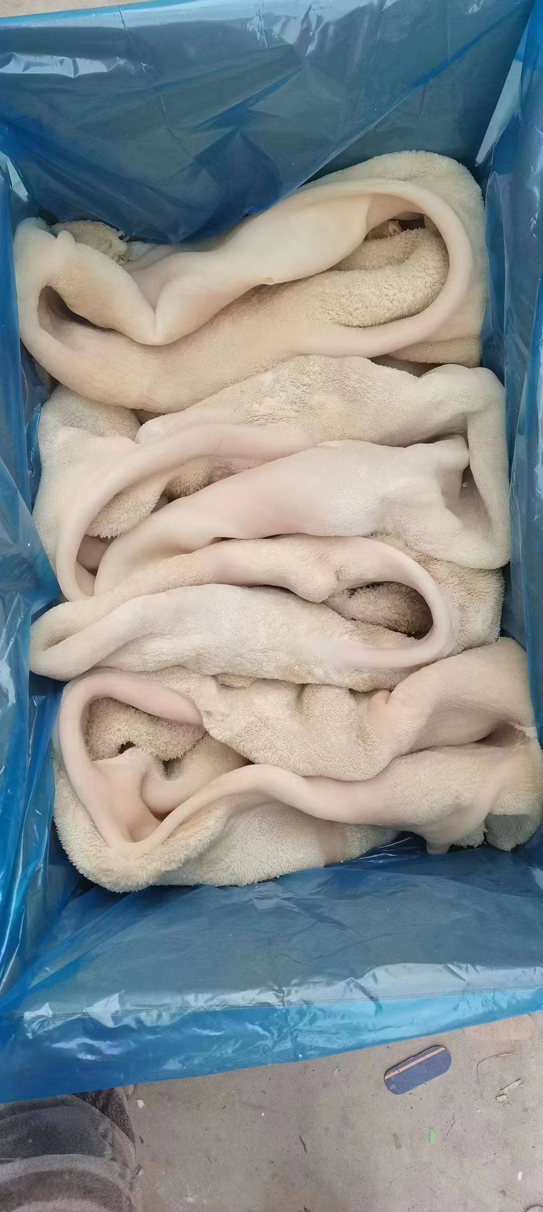 熟牛肚，清水煮全熟牛肚，实拍图片，一手货源，全国冷链发货