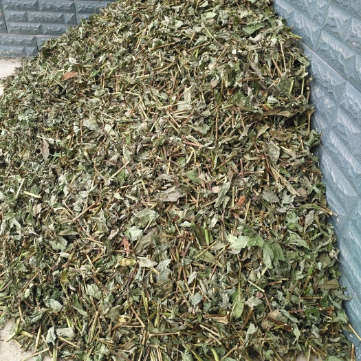 谷城县湖北山区特产干薄荷，长期供应可批发可零售量大从优