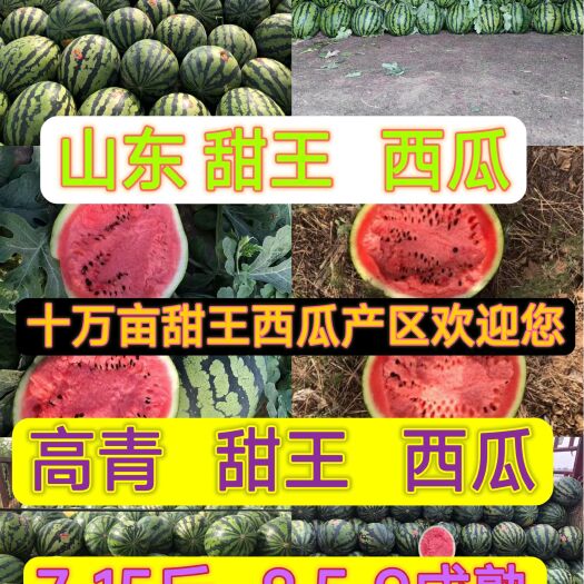 甜王西瓜✔6-12斤✔9成熟✔山东淄博高青✔万亩西瓜产地✔