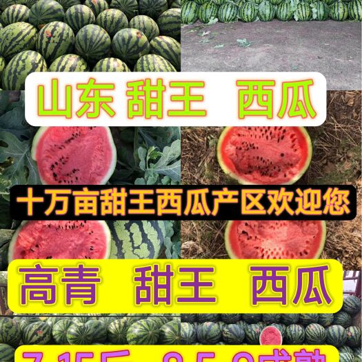 高青县甜王西瓜✔6-12斤✔9成熟✔山东淄博高青✔万亩西瓜产地✔