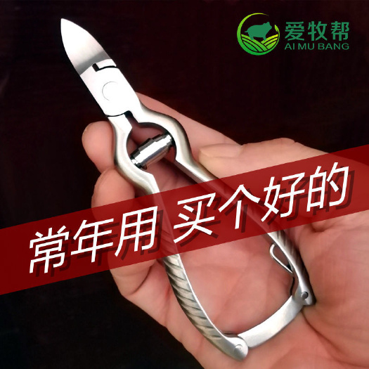 南京小猪不锈钢剪牙钳 断牙钳兽用 猪用剪齿钳 仔猪牙剪养殖器械设