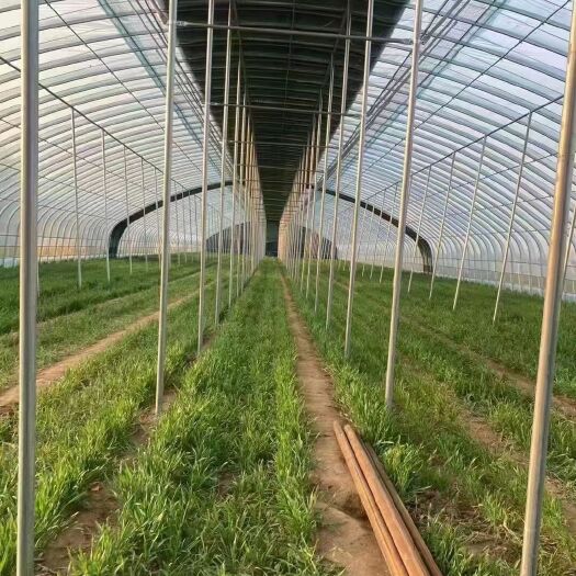 各种规格大棚管大棚配件及生产加工按装设计为一体