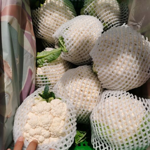 邯郸白，个头不大，2斤左右