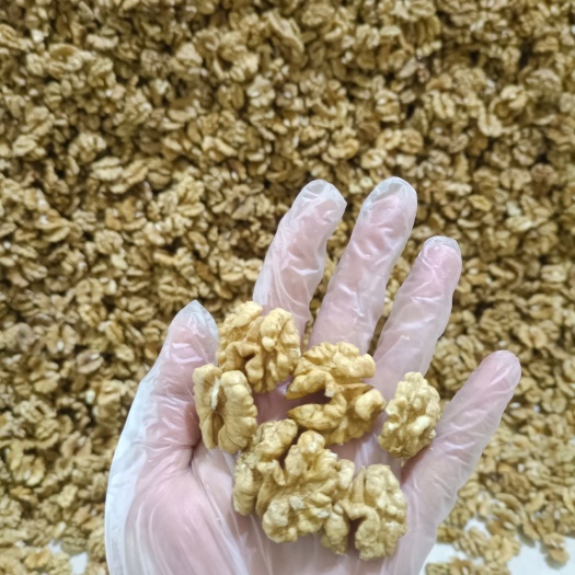 赞皇县云南核桃仁尖白普白大量供应，出口级产品，质量保证，诚信经营