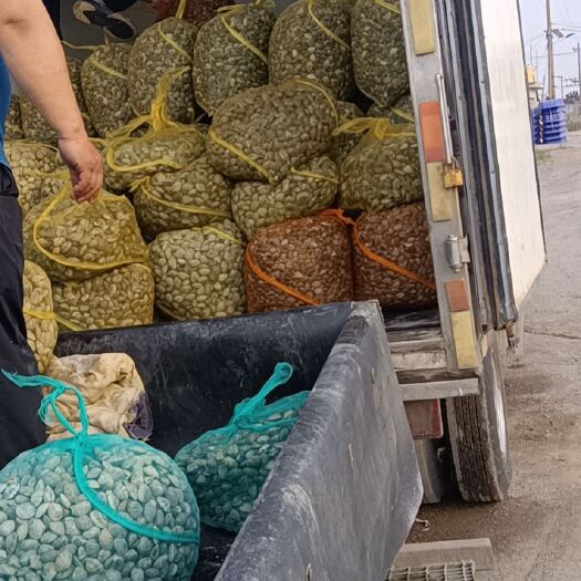 滦南县手扣花甲
