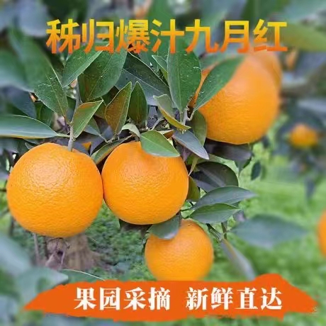 三峽妹農(nóng)家菜