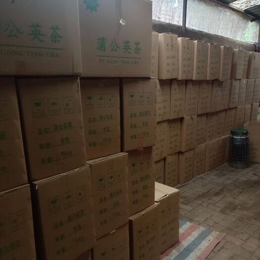 亳州蒲公英茶，大量有货一手源，