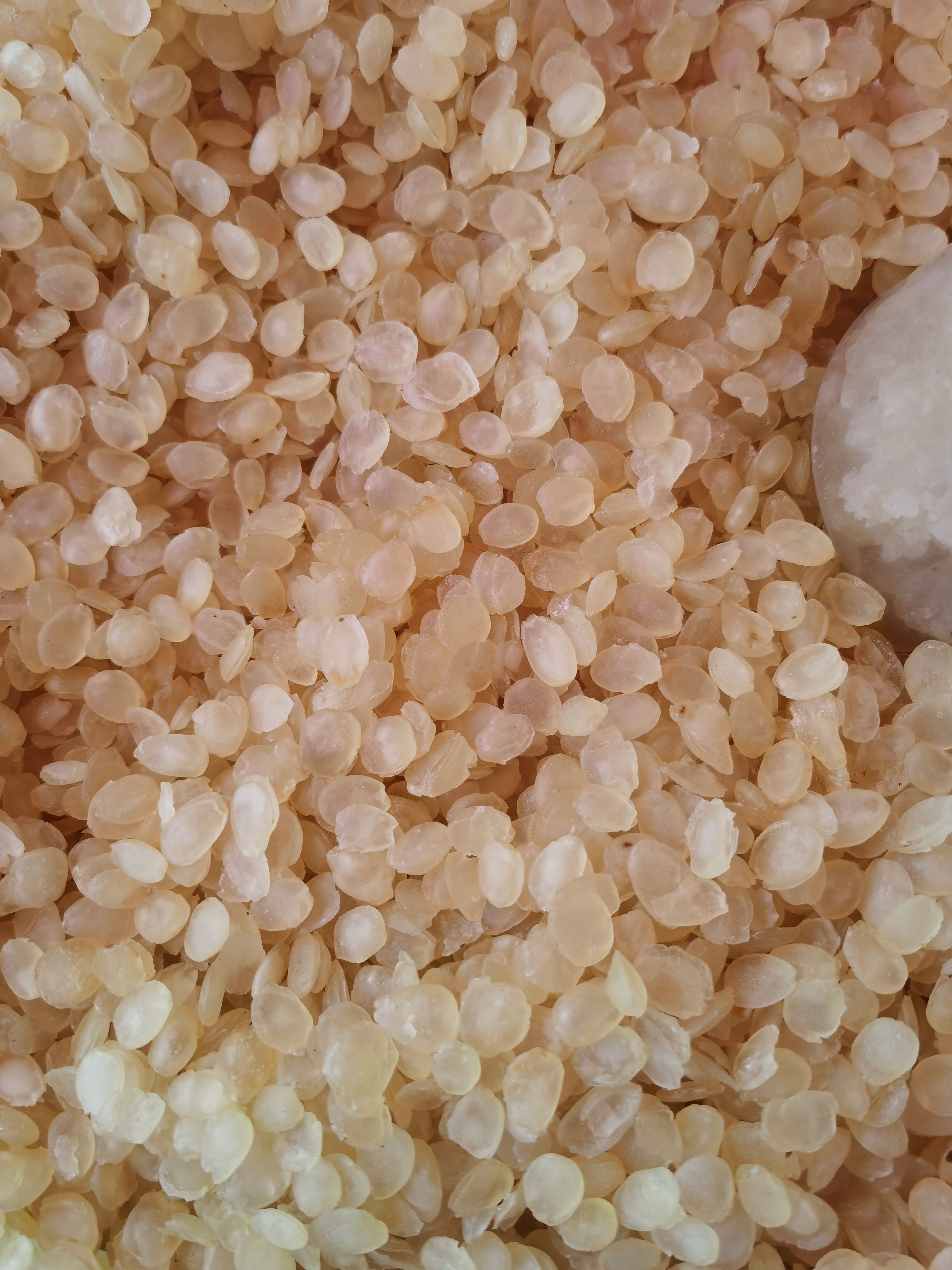 无硫皂角米-雪莲子 大双夹皂角米 大货批发供应精选黄皂角米