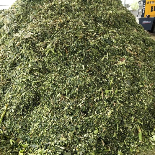 重庆市玉米秸秆青贮黄贮发酵饲料牧草原料