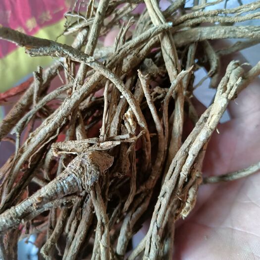 商城县五加皮新货无硫熏自然晒干大山里采挖蒸根非切段
