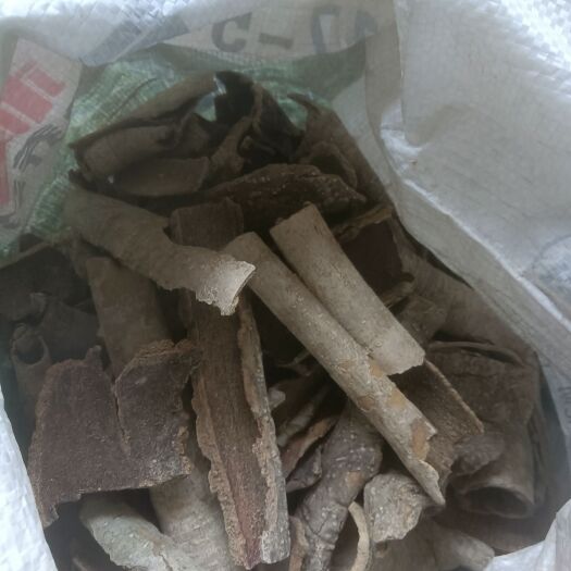 廉江市救必应