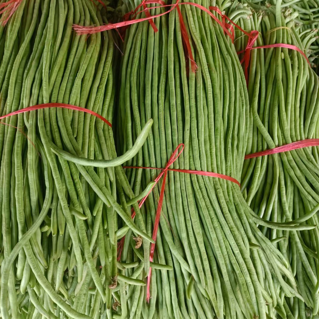 [长豇豆批发]精品长豆角大量上市,色泽均匀价格1.5元/斤 - 惠农网