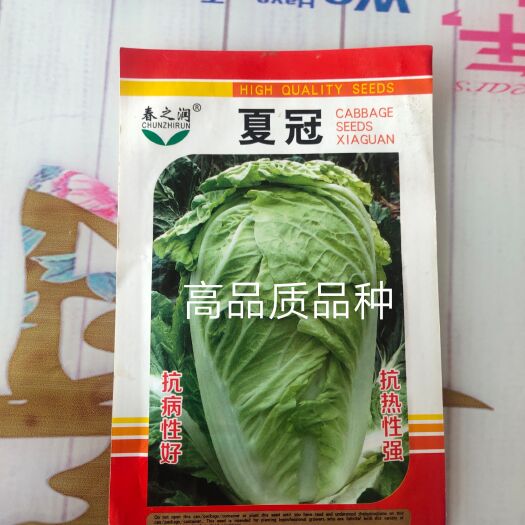 扶沟县夏冠白菜种子单球4斤38度高温正常结球抗软腐病囗感好吃