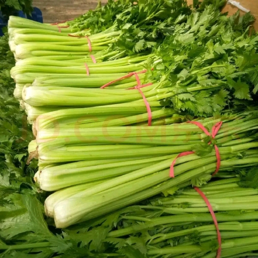 永宁县时令蔬菜！鲜嫩爽脆！优质优选！自然成熟！新鲜直达！