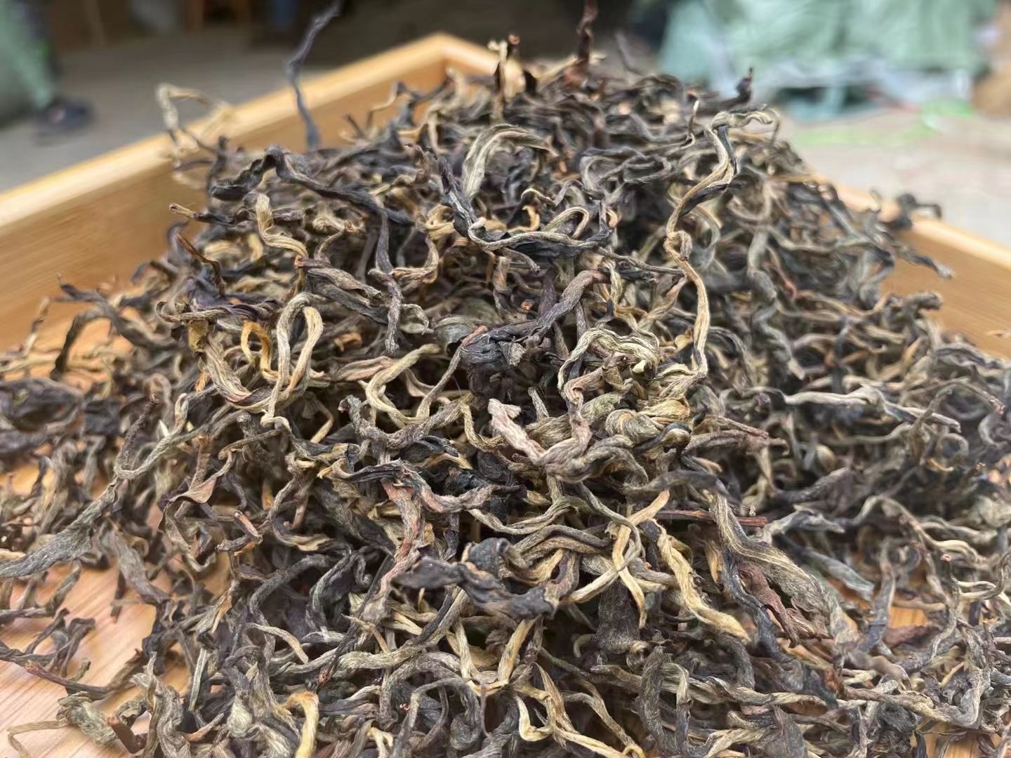 古树春茶红茶