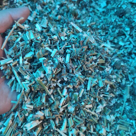 安国市益母草 干货益母草中药材量大从优欢迎选购！