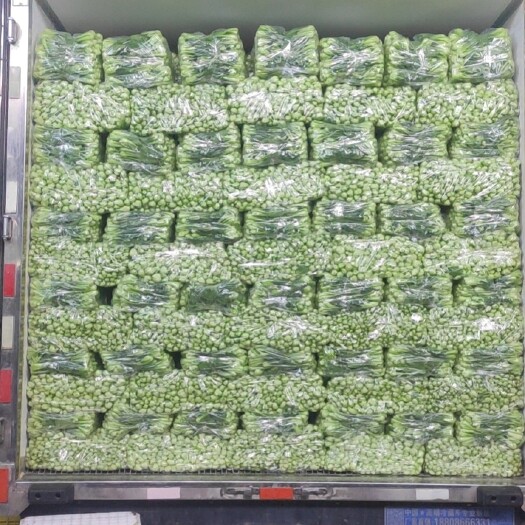 曹县曹县精品上海青，快菜，代收代办！