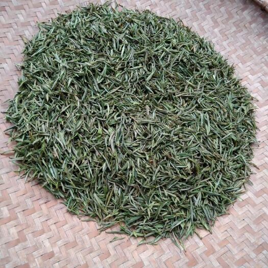 黄山明前黄山区茶林场明前野茶毛峰