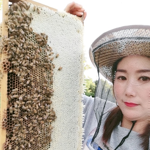 五常市东北黑蜂蜂蜜椴树百花雪蜜，大桶、瓶装批发，一件代发，贴牌代工