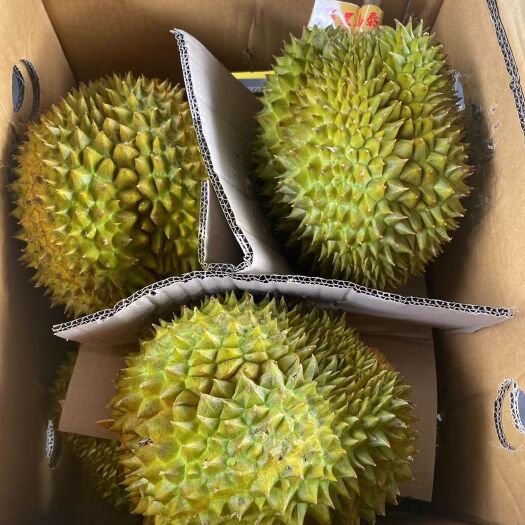 广州金枕榴莲