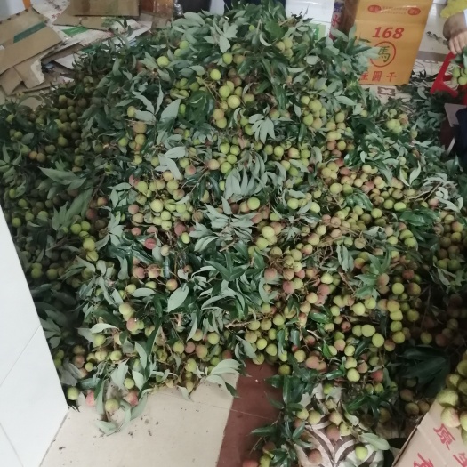 代辦