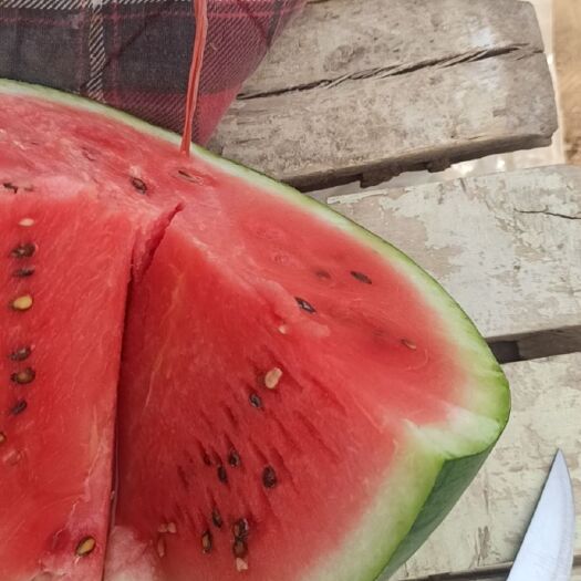 临漳县河北临漳千亩西瓜大量上市，有需要的联系，可代发全国