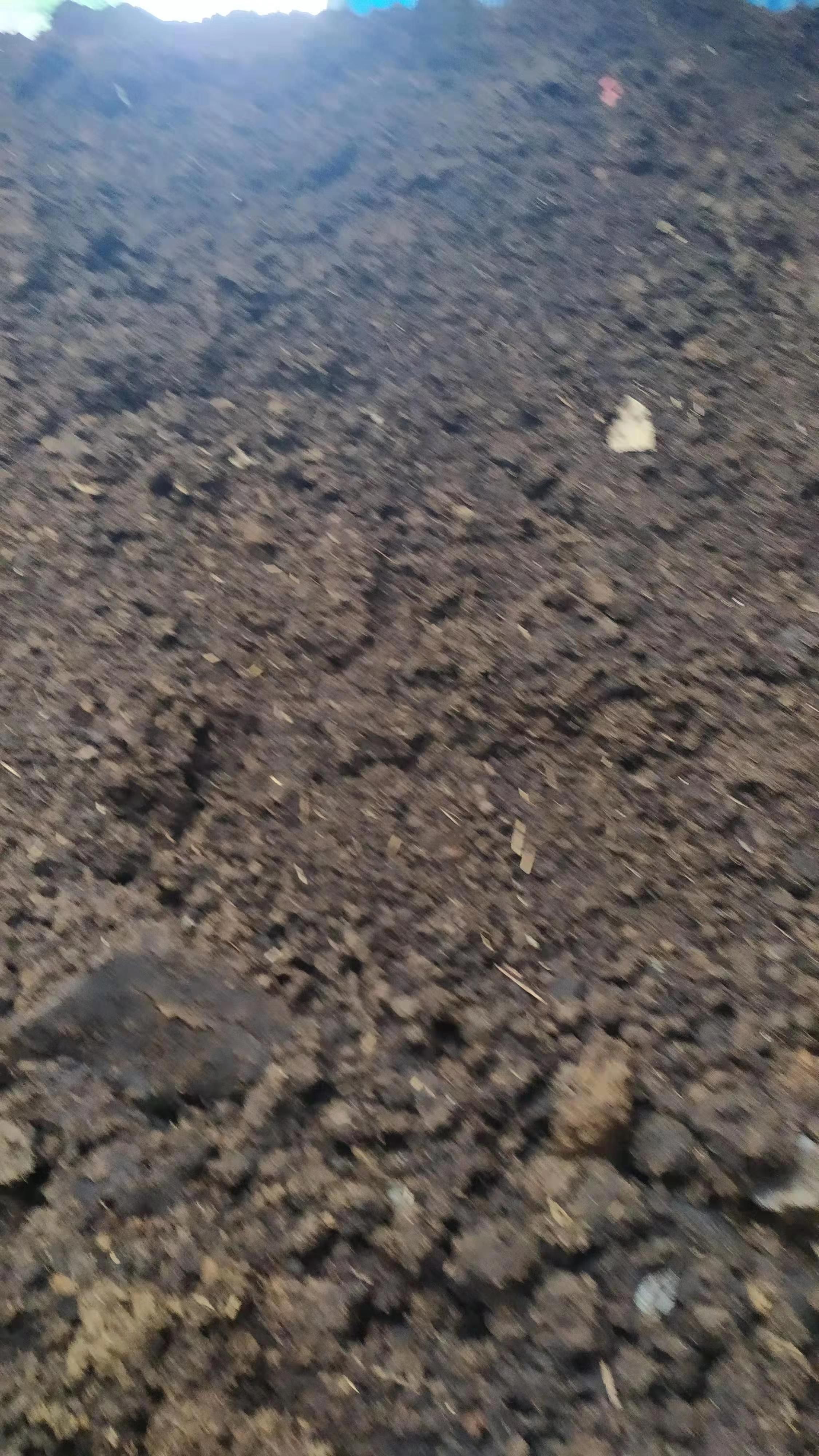 牛粪，天然发酵牛粪，纯干