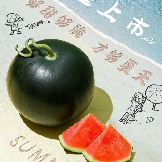 东台市先正达集团墨童2号西瓜