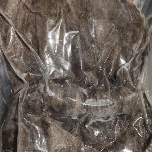 阳信县冰鲜毛肚