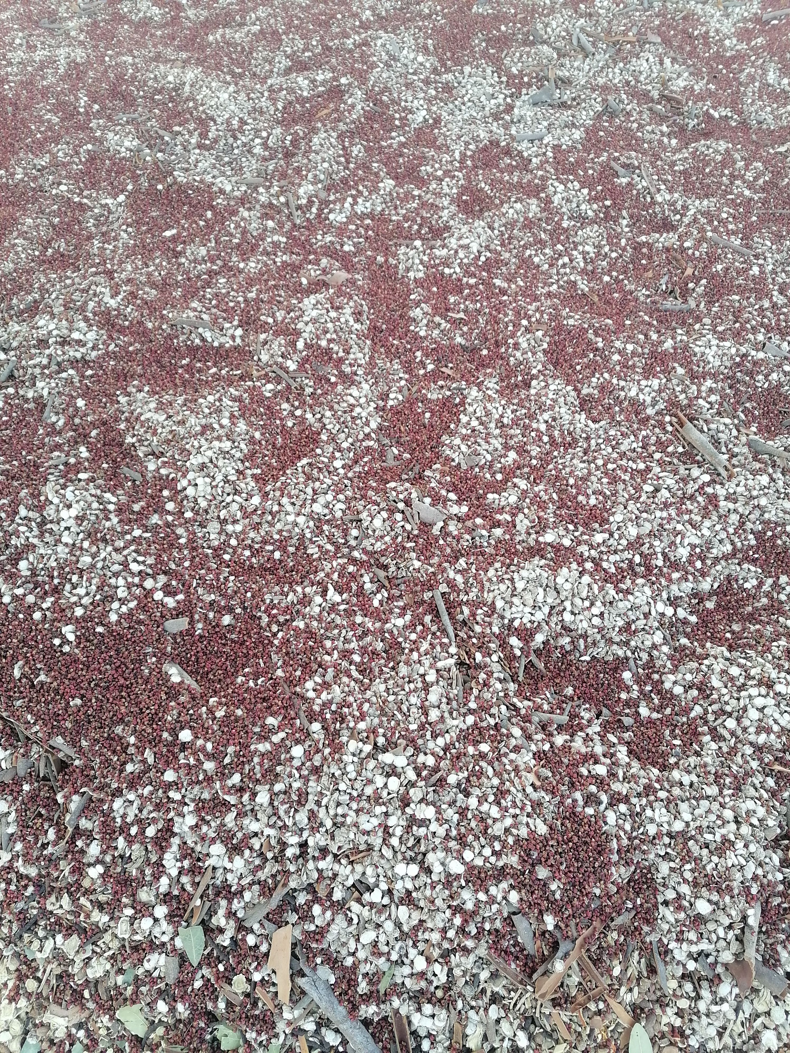 卤料包：药料包，根据配方定制加工。卤料中药混合粉碎加工。