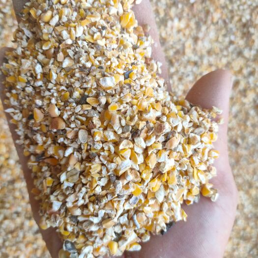 裕丰粮贸常年出售碎玉米碎小麦