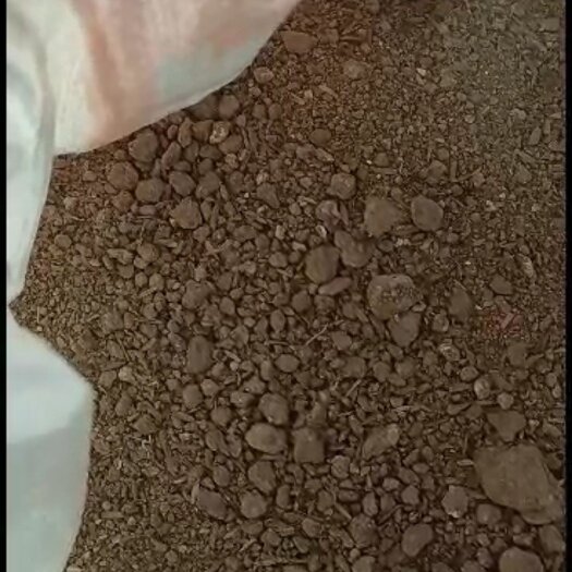 安庆鸡粪
