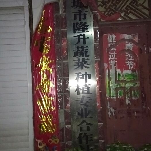 麻城市青椒