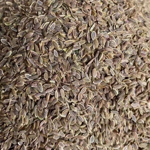 千里香【优质香料】粒香菜籽小茴香各种香料批发价