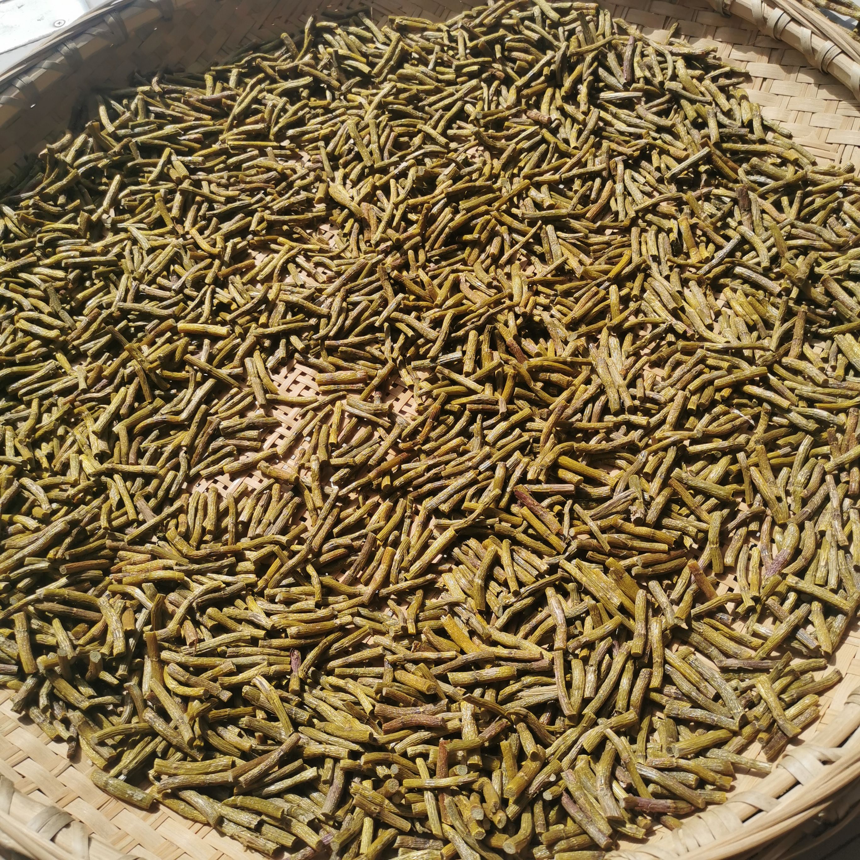 石斛干条寸金条铁皮石斛干条霍山县核心产区批发基地直供