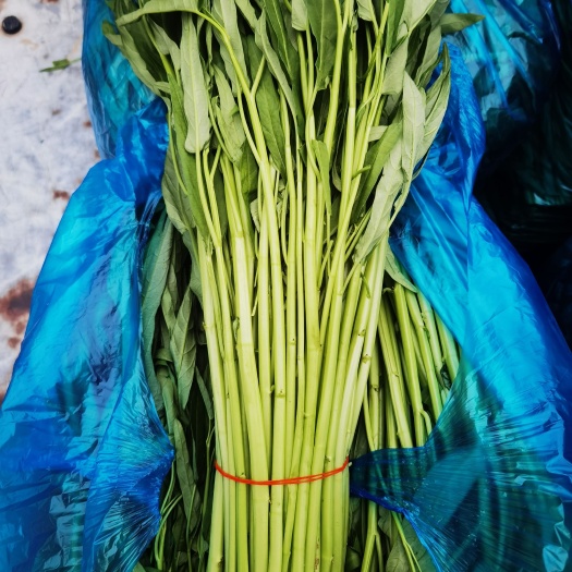 上海叶菜组合装。上海全市配送