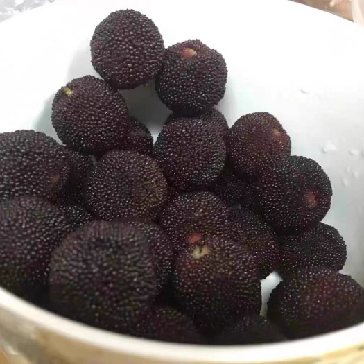 兰溪市马涧杨梅
