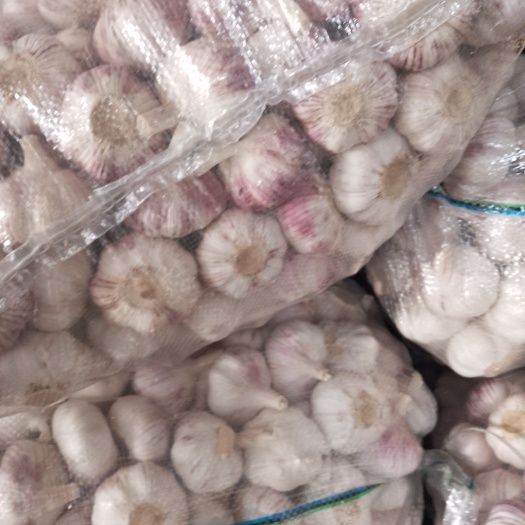 邳州市净蒜红皮蒜精品净蒜邳州大蒜