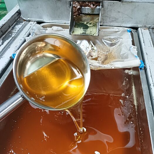 巴马县纯正山茶油