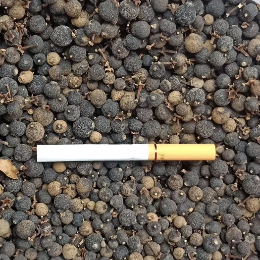 乐山枳实大量出售各类橘子