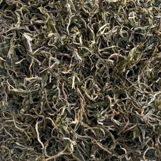 宁洱县云抗十号茶（绿茶）
