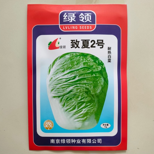 结球白菜种子 夏阳白夏致5号 生长期55-60天 10克