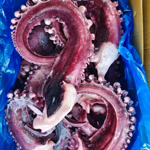 济南干冰章鱼王