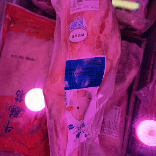 长春甘肃滩羊羔羊前腿！