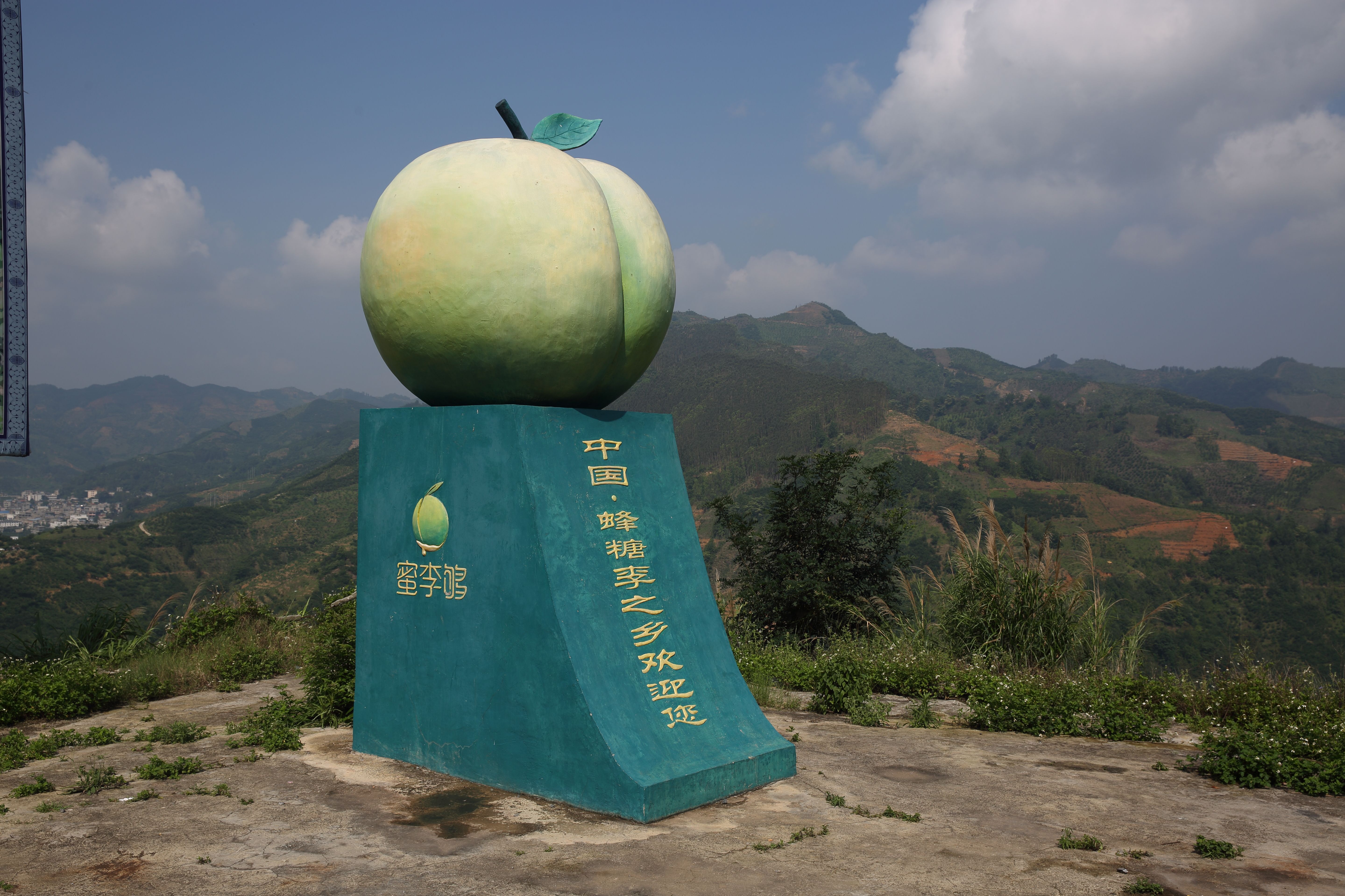 镇宁县六马蜂糖李顺丰包邮