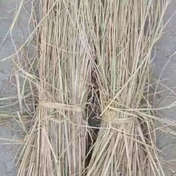 五常市80公分长稻草，酒草，治沙