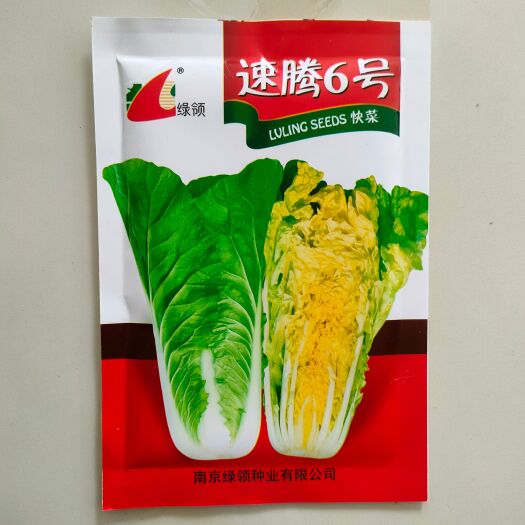 湘乡市苗用白菜种子 快菜种子 耐热耐湿 速腾6号
