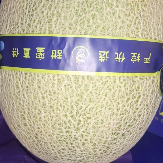 中牟县哈密瓜