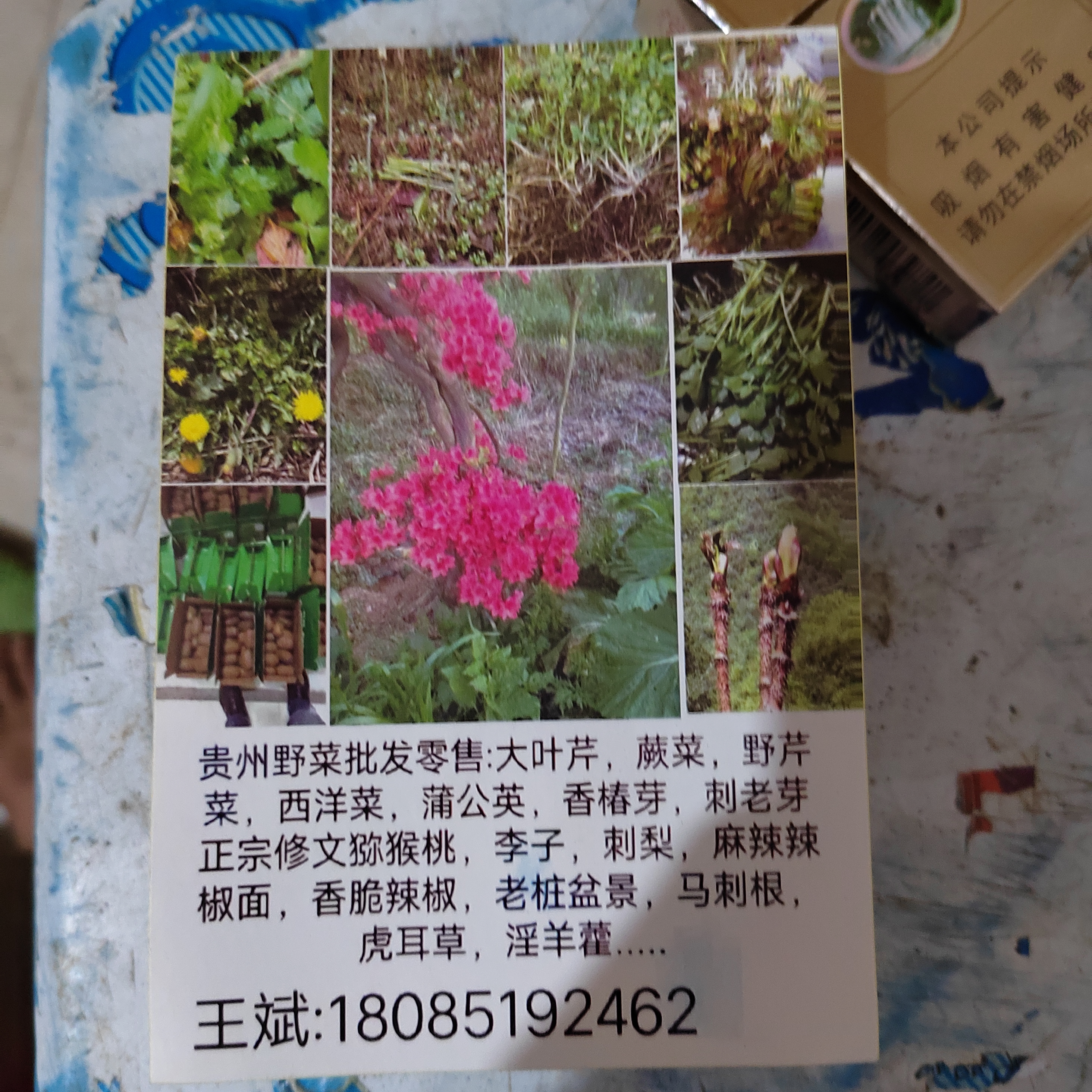 貴農(nóng)生鮮